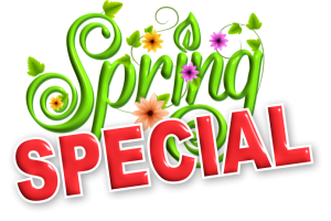 Spring Special